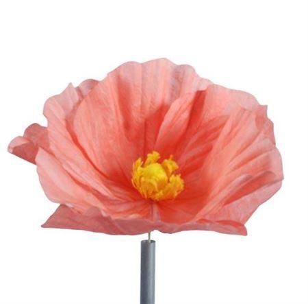 <h4>Stem Poppy Flower L50w50h40</h4>