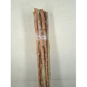 Eucalyptus stam (130 Cm)
