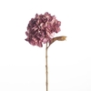 AF Hydrangea Dry L61cm Purple