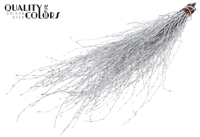 <h4>Birch 70cm 10stems Per Bunch Silver</h4>