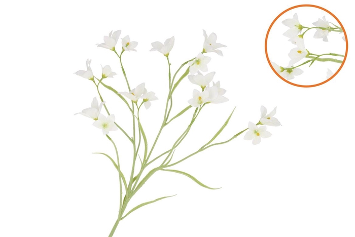 <h4>Silk Lucky Clover White 99cm</h4>