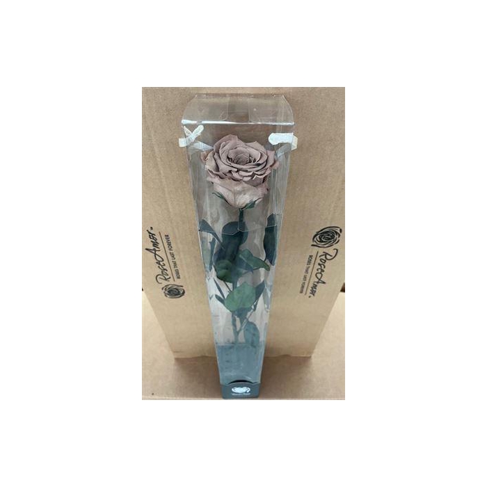 <h4>50cm Stem Cho89</h4>