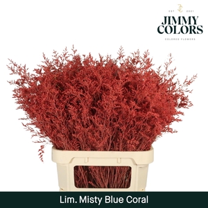 Lim Misty Blue L90 Coral