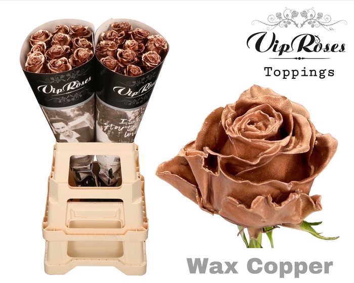 <h4>R GR WAX COPPER x30</h4>
