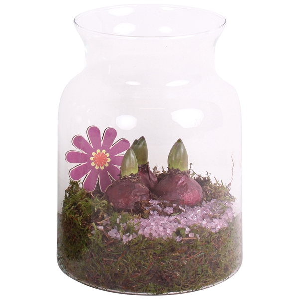 <h4>Bulbs Arr. Hyacint Glass Milk Jug Vase Ø19cm</h4>