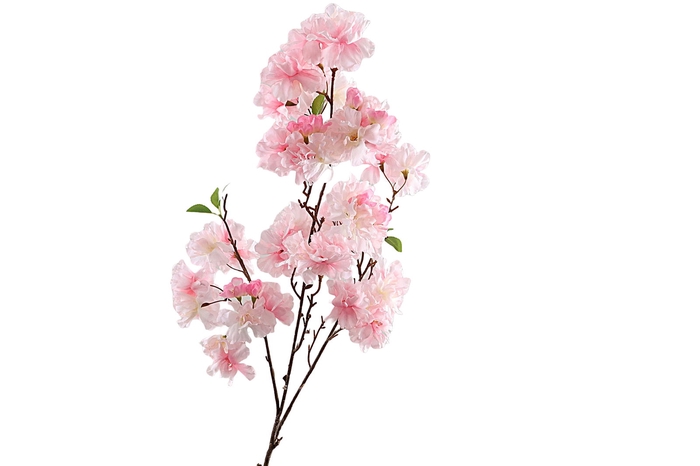 <h4>Cherry Blossom Spray Pink</h4>