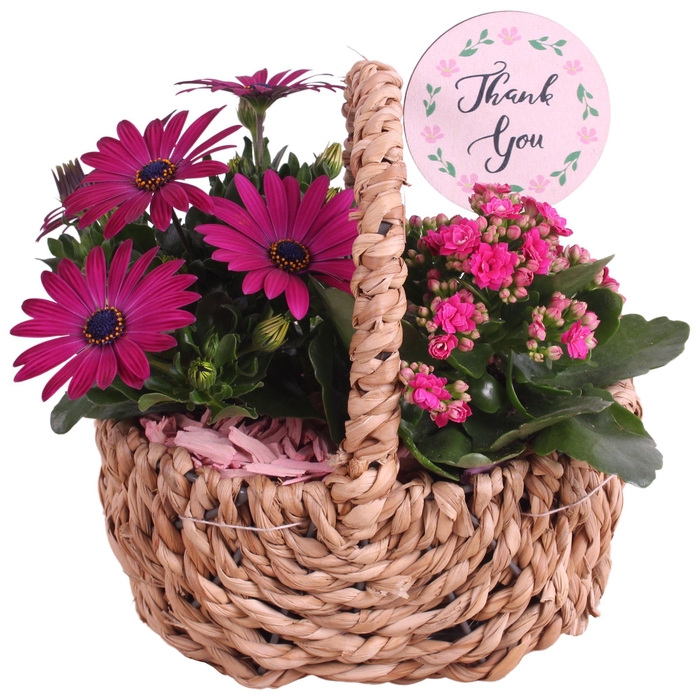 <h4>Mothersday Arr. Outdoor Waterhyacint Handle Basket Ø21cm 2PP</h4>