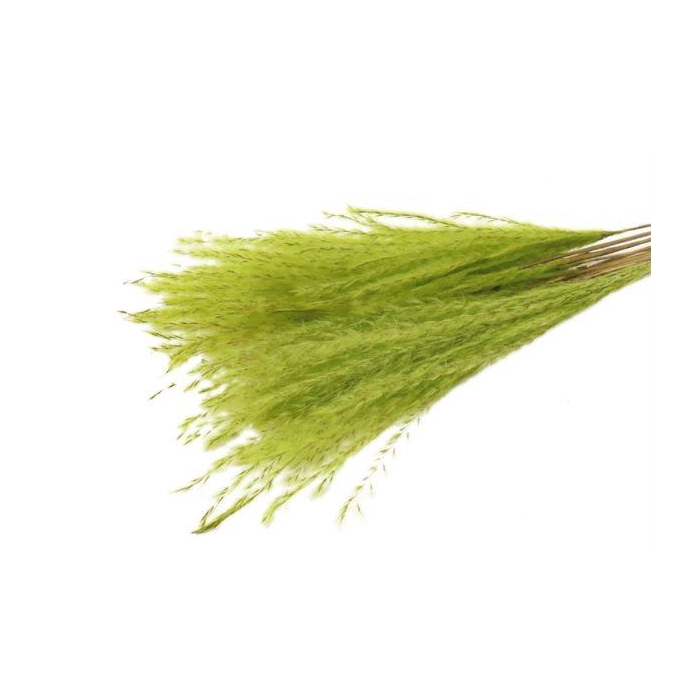 <h4>Bunch Fluffy Silver Grass 10pcs L75</h4>