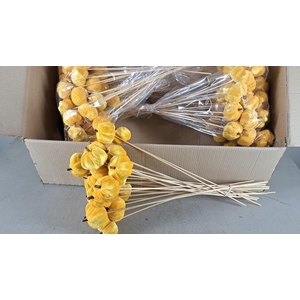 Stick Pumpkin 5/6cm Yellow