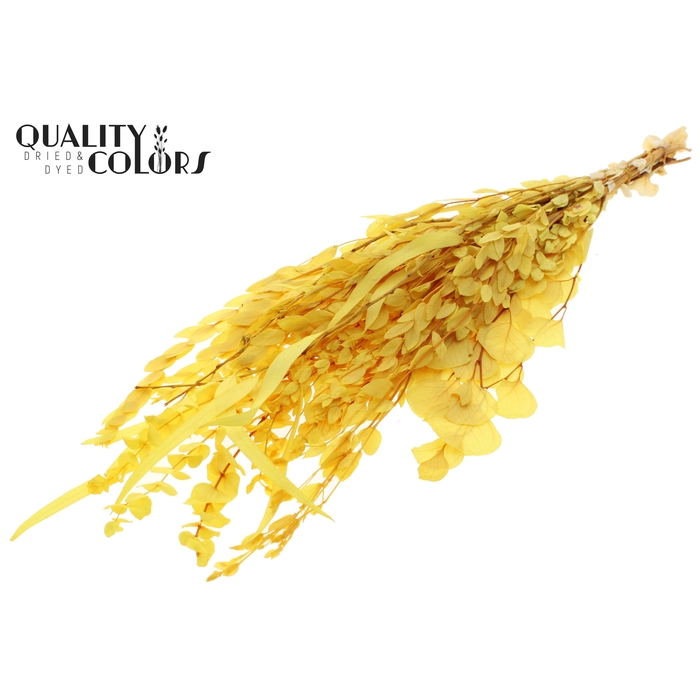 <h4>Eucalyptus Mix Preserved Bleached Yellow</h4>