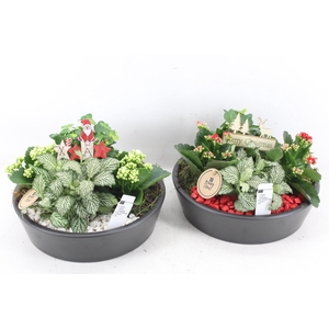 arr2 PL - Ker. schaal 25cm black - rood/wit