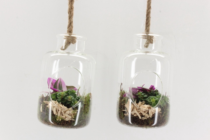 <h4>arr3 SN - Glas fles hang x6</h4>