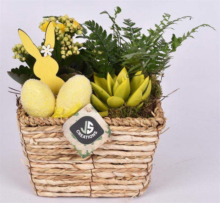 <h4>Natuur mand 17x17cm</h4>