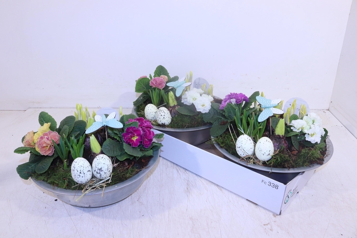 <h4>ARR TUINPLANTEN</h4>