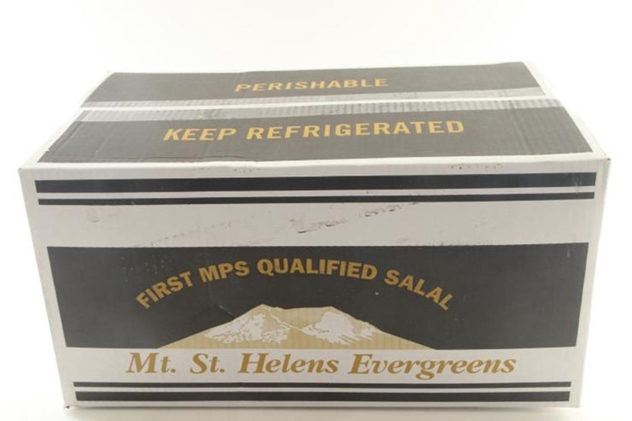 <h4>Salal Tips Mt St Helens Black Box</h4>