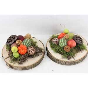 arr4 Sierfruit PP - Hout schijf x3