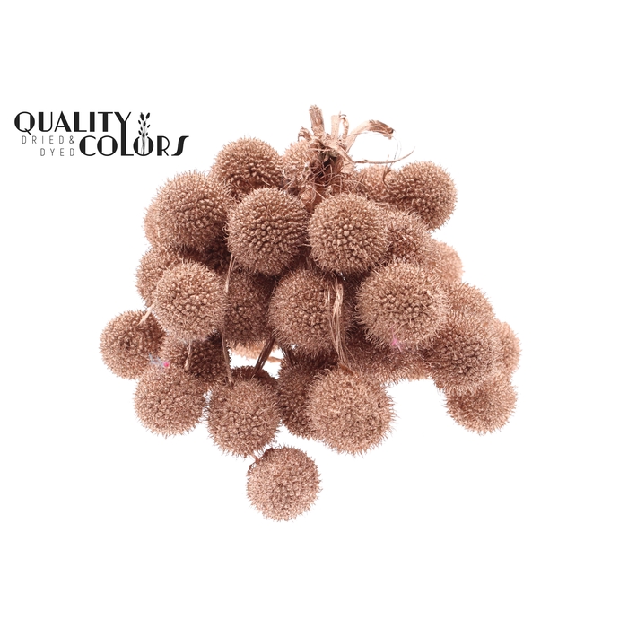 <h4>Small ball per bunch in poly Copper</h4>