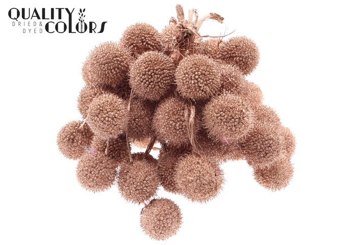 Small ball per bunch in poly Copper