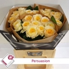 Rosa Garden Persuasion