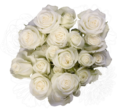 <h4>R Tr Floreana White 40cm EC</h4>