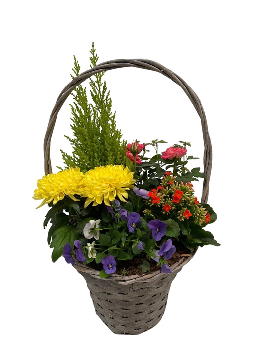 <h4>Opm A9 Buitenschaal Arrangement Hengselmand</h4>