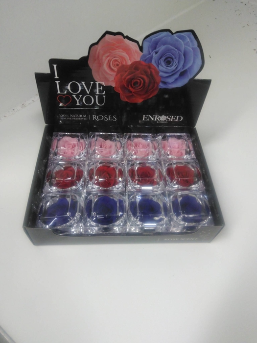 <h4>PRESESERVED ENROSED</h4>