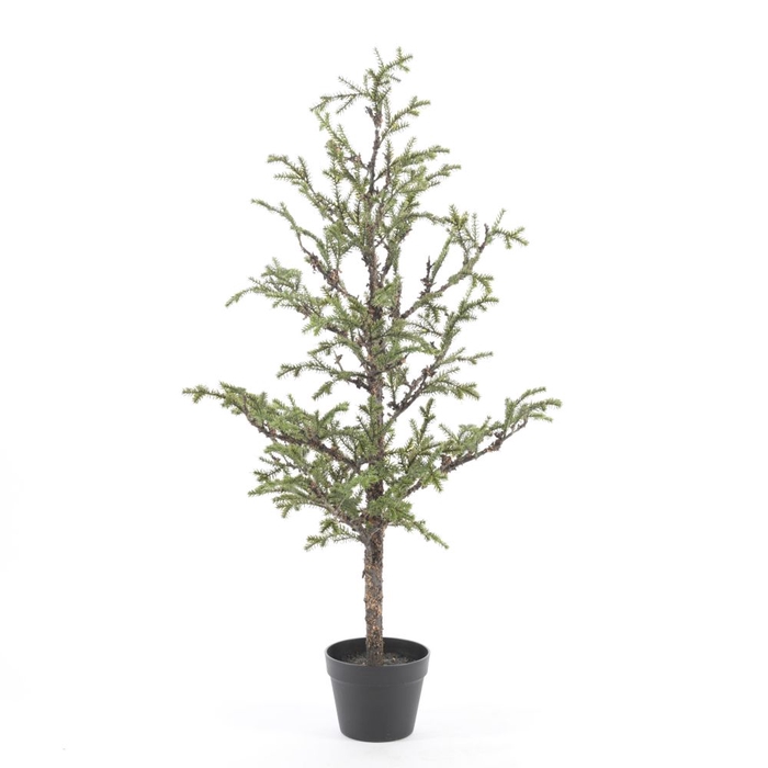 <h4>AF Larix Tree pot H114cm green</h4>