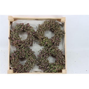 Wr Thym Naturel 20cm
