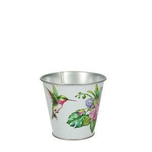 Bird pot d11*10cm