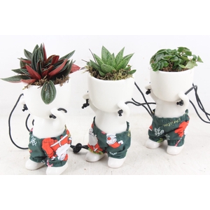 arr3 SN - Ker. pop hang Jeans