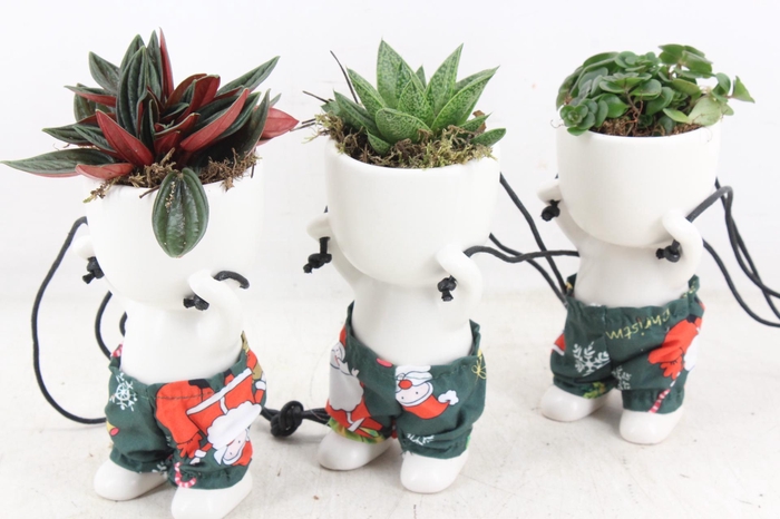 <h4>arr3 SN - Ker. pop hang Jeans</h4>