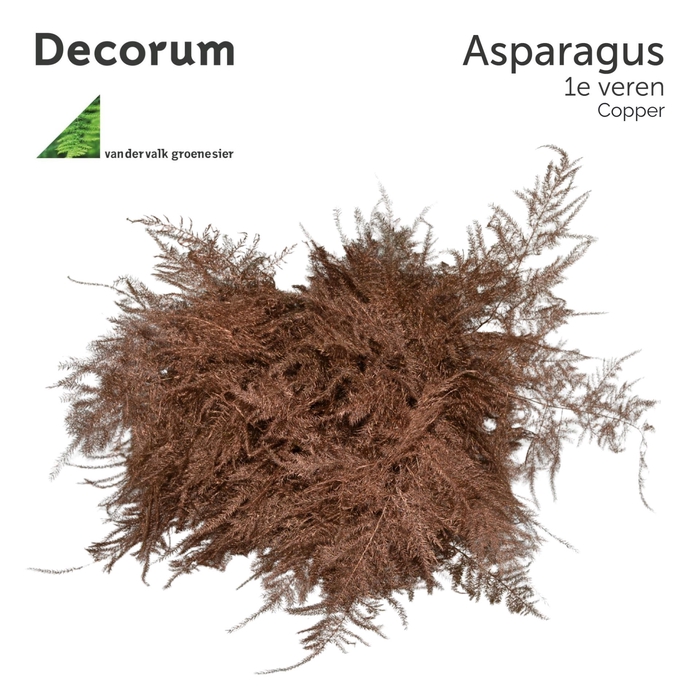 <h4>ASP 1e veren Copper 45cm box x50</h4>