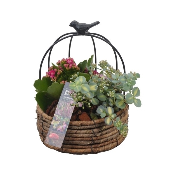 <h4>PTHO4141 Arrangement Herfst Outdoor in rieten mand met metaal</h4>