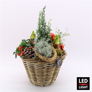 GACR-2415LED Gaultheria creatie