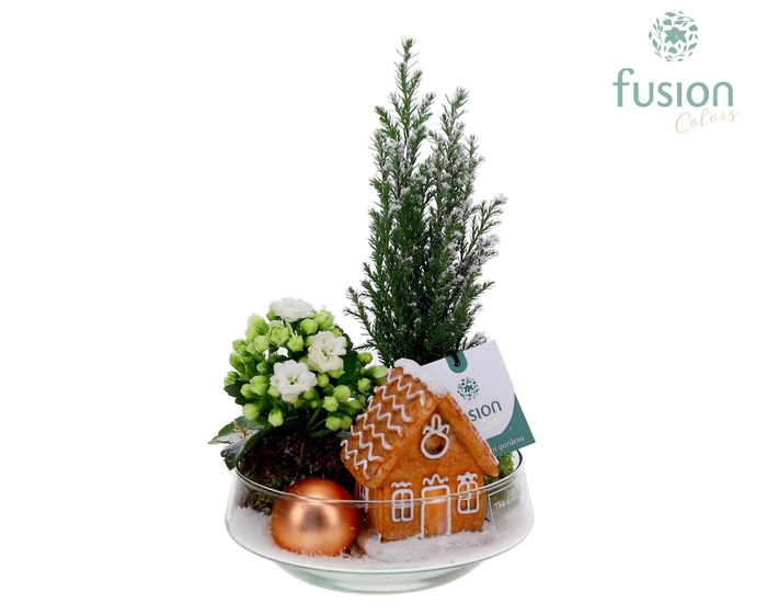 <h4>Green Bottle Iris Small Kerst met arrangement</h4>