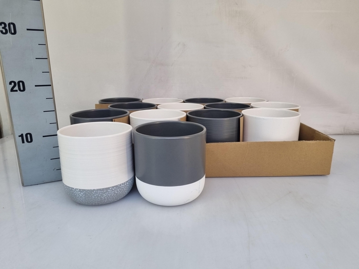 <h4>HUIS EN TUINDECO H%</h4>