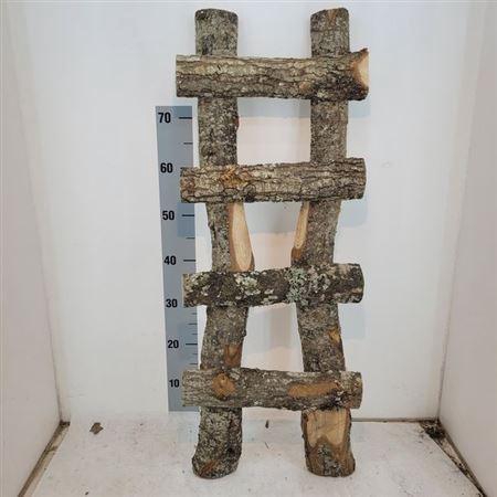 <h4>Deco Muurtrap</h4>