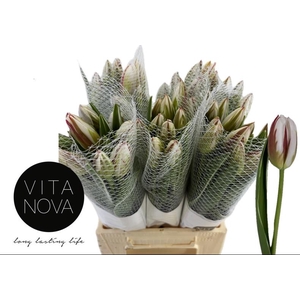 TU EN HAPPY GENERATI