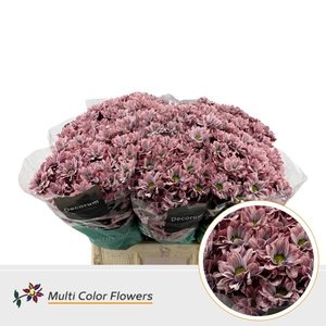 Chr T Kennedy Misty Blush