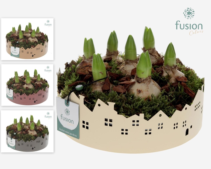 <h4>Zinken schaal Huisjes Large Hyacinthus</h4>