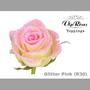 R GR GLITTER PINK  R30 x20