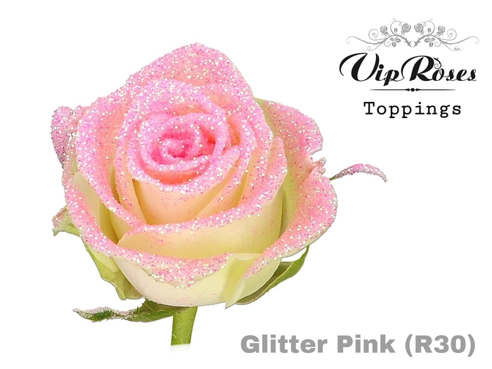 <h4>R GR GLITTER PINK R30 x20</h4>