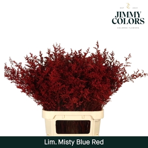 Lim Misty Blue L90 Red