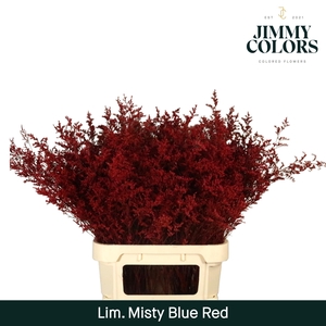 Lim Misty Blue L90 Red