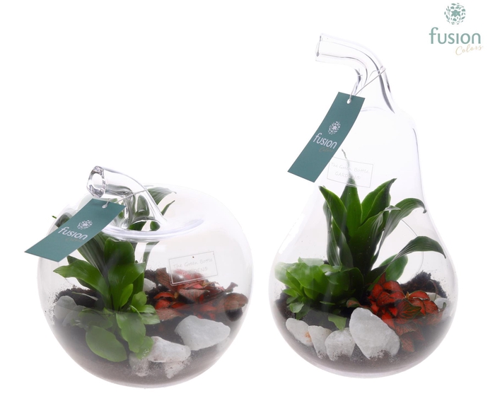 <h4>Glas Appel en Peer met Arrangement</h4>