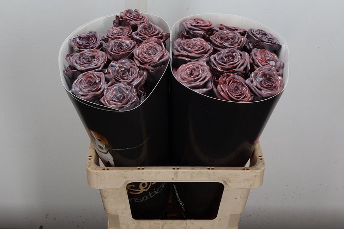 <h4>R Wx (rn) Silverado</h4>