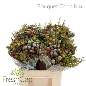 Bouquet Cone Mix