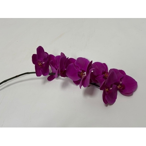 PHAL CHIANGMAI TAK 7-9