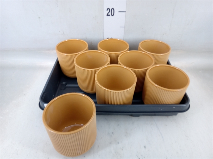 <h4>Pot   ...Keramische H%</h4>