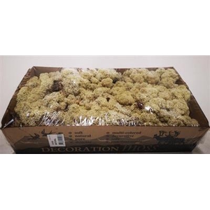 IJSLANDSMOS GEPREP. KLEIN P.DS x6